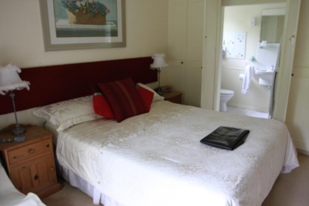 Serendipity Winsley Kamer foto